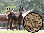 Vegetable straw pellets for animals alternative to straw bedding - photo 1