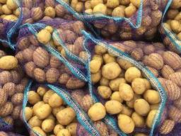 Venderò patate sfuse