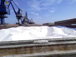 Vendiamo Urea, NPK e Potassa con resa FOB (Incoterms). Quantità minima d'ordine: 1.000 MT.
