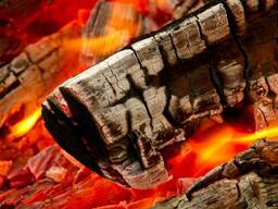 Vendo carbone di legna dura
