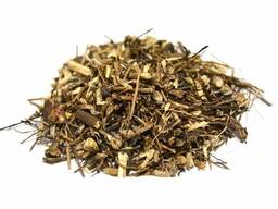 Vendita di "Echinacea" all'ingrosso dal produttore ai prezzi migliori