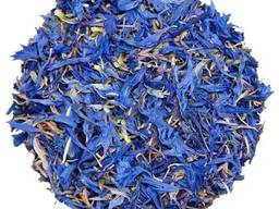 Vendita di "Fiordaliso blu" all'ingrosso dal produttore ai prezzi migliori