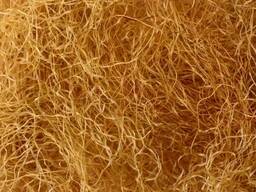 Vendita di Gli stimmi di mais all'ingrosso dal produttore ai prezzi migliori