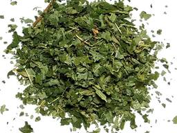 Vendita di "Nocciolo" all'ingrosso dal produttore ai prezzi migliori