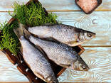 Pesce essiccato - фото 1