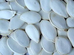 We sell pumpkin seeds