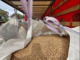Wood pellets - photo 3