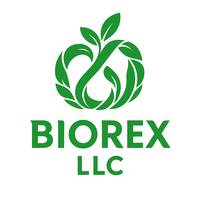 Боровський Денис Михайлович